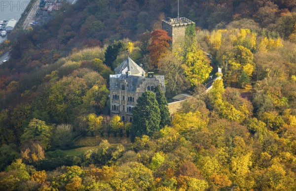 Rheineck Castle in the Rhine Valley, Rhine, autumn foliage, Bad Breisig, Ahrweiler district,