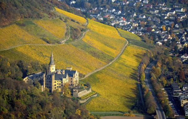 Vineyards in autumn, vine leaves, late harvest, Arensfels Castle, owned by Baron Antonius Geyr von