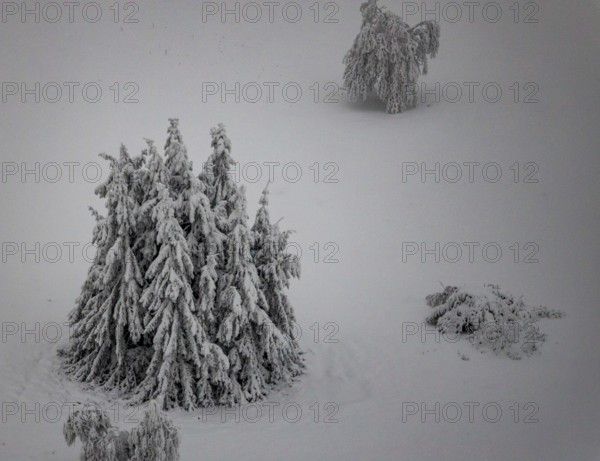 Aerial view of the snowy winter landscape of Winterberg below the Kahler Asten with snow-covered