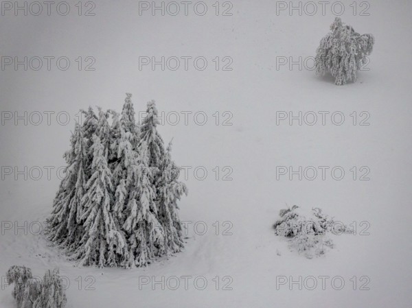Aerial view of the snowy winter landscape of Winterberg below the Kahler Asten with snow-covered