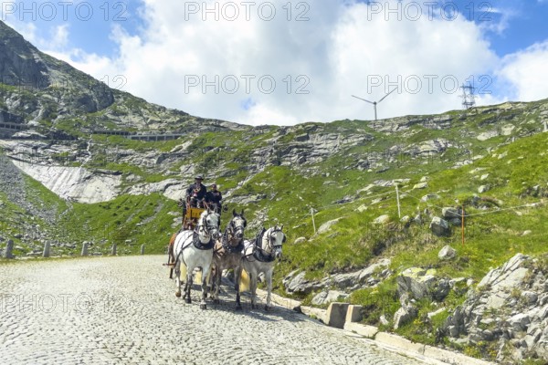 Old historic horse-drawn carriage with double team of five horses for tourist ride on historic St.