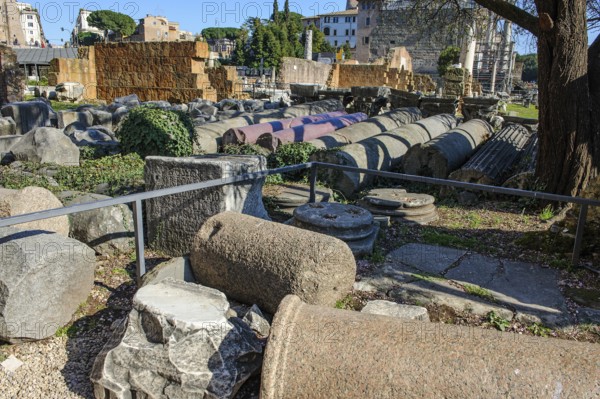 Fragments of ancient columns collected on the floor of the Roman Forum, Roman Forum, Rome, Lazio,