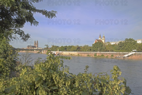 Cityscape with Gothic cathedral, New River Bridge and late Romanesque St. Johannis Church, church