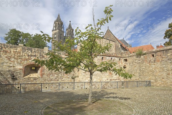 Medieval bastion Cleve with defence defence tower Cleve and Gothic Magdeburg Cathedral, St.