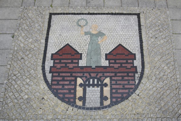 City coat of arms, floor mosaic, paving stones, floor, Old Town Hall, Old Market Square, Magdeburg,