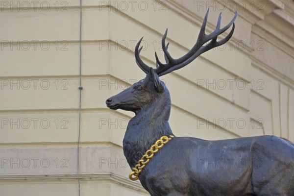 Stag column with stag statue, stag figure with golden collar, golden chain, detail, Old Town Hall,