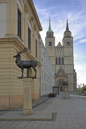 Stag column with stag statue and St John's Church, stag statue, Old Town Hall, Old Market Square,