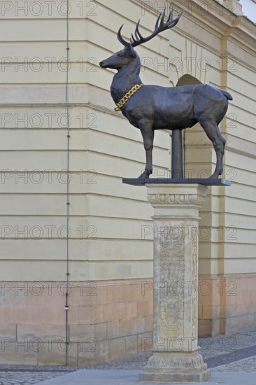 Stag column with stag statue, stag figure with golden collar, golden chain, Old Town Hall, Old