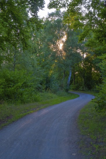 View along the cycle path along the Mittelland Canal Hanover Garbsen, Hanover, Lower Saxony,