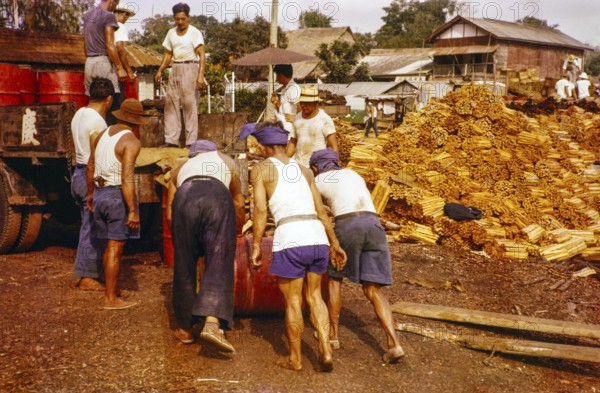 Male workers loading metal fuel drums onto back of lorry in timber yard, Johor Bahru, Johor,