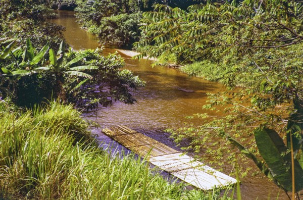 Bamboo ferry raft Pahnag river, Bentong district, Malaya, Malaysia, south east Asia 1963 captioned
