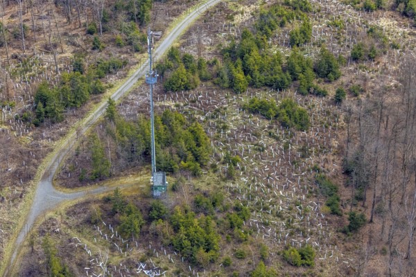 Aerial photograph, hiking trail on Häusling mountain with radio mast, protective sleeves for new