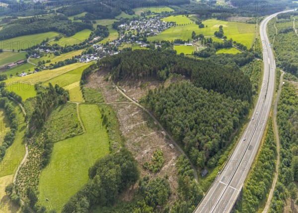 Aerial photograph, forest area with forest damage near Elben, A4 motorway, Wenden, Sauerland, North