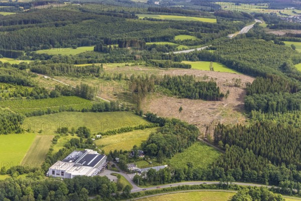 Aerial view, forest area with forest damage, Eloxal Gerlingen GmbH Metalloberflächenveredler,
