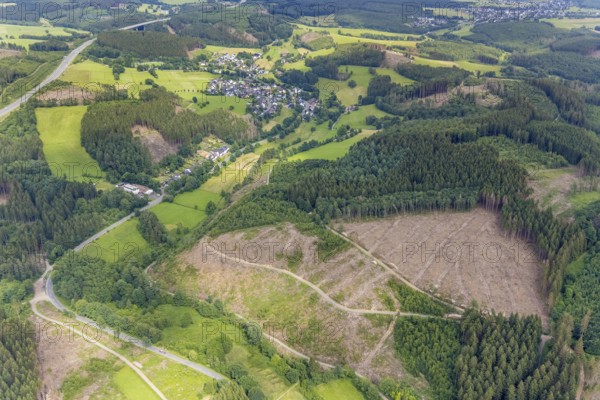 Aerial view, forest area with forest damage, Gerlingen, Wenden, Sauerland, North Rhine-Westphalia,