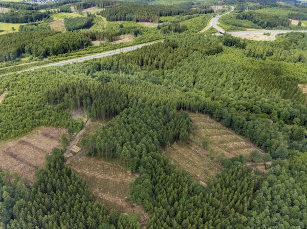 Aerial view, forest area with forest damage, Schönau, Wenden, Sauerland, North Rhine-Westphalia,