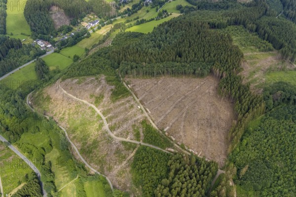 Aerial view, forest area with forest damage, Gerlingen, Wenden, Sauerland, North Rhine-Westphalia,
