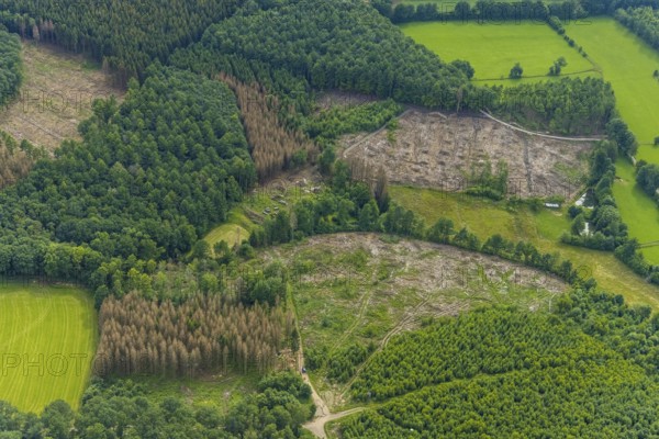 Aerial view, forest area with forest damage near Altenhof, Wenden, Sauerland, North