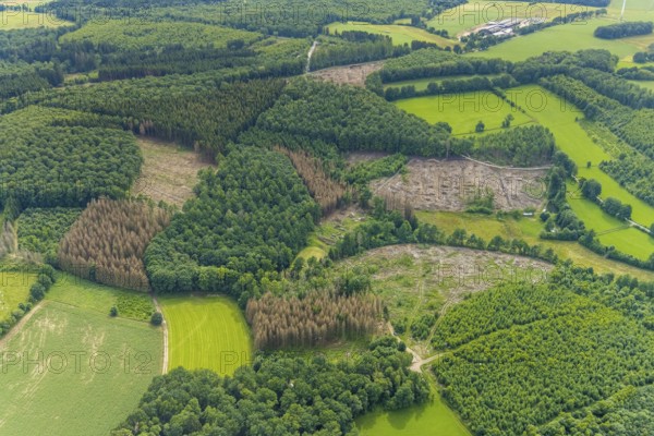 Aerial view, forest area with forest damage near Altenhof, Wenden, Sauerland, North