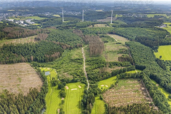 Aerial view, forest area with forest damage Dörnscheid, Ottfingen, Wenden, Sauerland, North