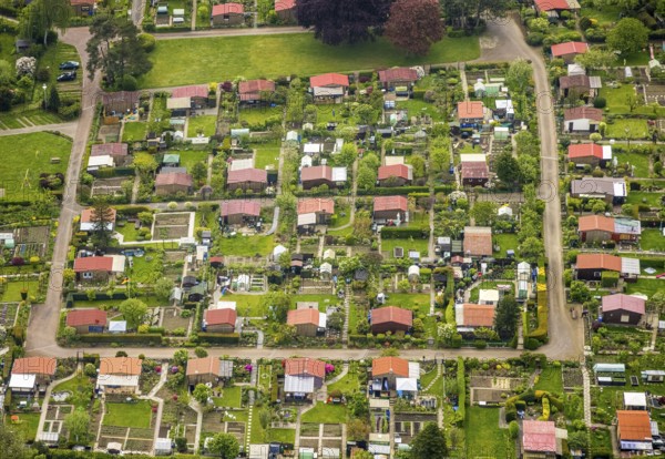 Aerial view, allotment garden association Birther Höfe, Asternweg, Hetterscheidt, city border