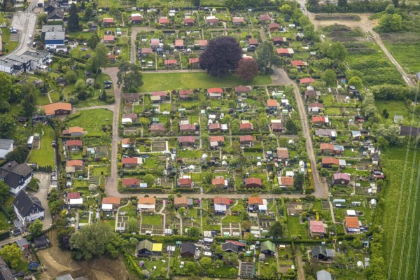 Aerial view, allotment garden association Birther Höfe, Asternweg, Hetterscheidt, city border