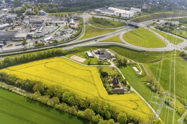 Aerial view, rape fields at the A44 motorway junction Hetterscheidt, Krehwinkler Höfe, Velbert,