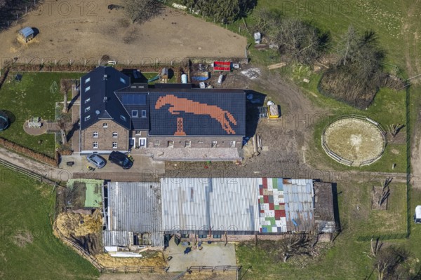 Aerial view, Pferdefreunde Emmelsum, jumping horse on the barn roof, club grounds Heinrichstraße,