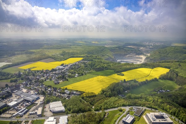 Aerial view, rape fields Rützkausen, limestone quarry Rohdenhaus, Velbert, Ruhr area, North