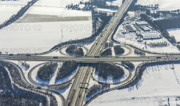 Aerial view, motorway junction Dortmund-Unna, A44 and A1, equestrian centre Massener Heide, Maßen,