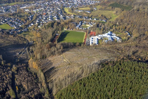 Aerial view, forest area with forest damage and sports and conference centre Hachen in the district