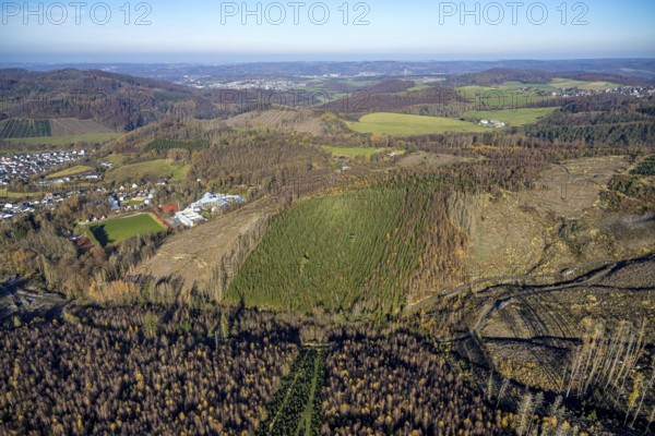 Aerial view, forest area with forest damage and sports and conference centre Hachen in the district