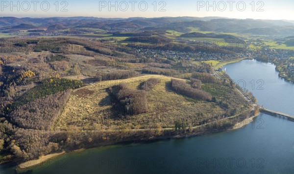 Aerial view, forest area with forest damage at the Sorpe lake in the district of Langscheid in