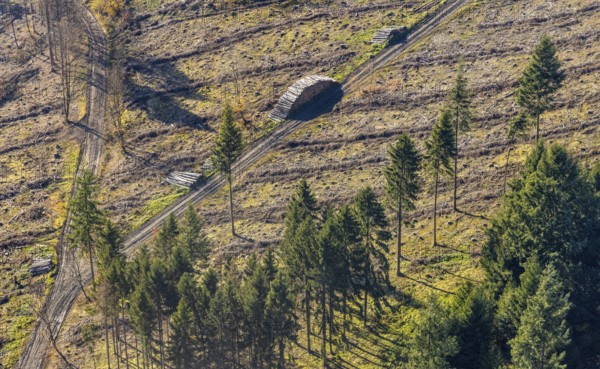 Aerial view, forest area with forest damage in the district of Amecke in Sundern, Sauerland, North