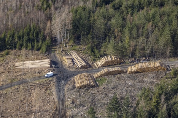Aerial photo, forest damage in the forest area near Hachen, Sundern, Sauerland, North