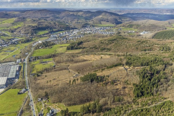 Aerial photo, forest damage in the forest area near Hachen, Sundern, Sauerland, North