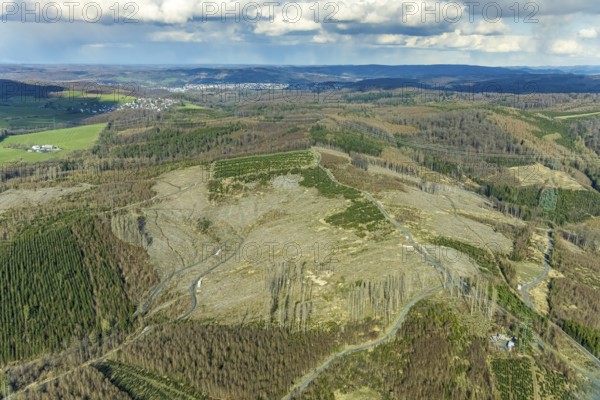 Aerial photo, forest damage in the forest area near Hachen, Sundern, Sauerland, North