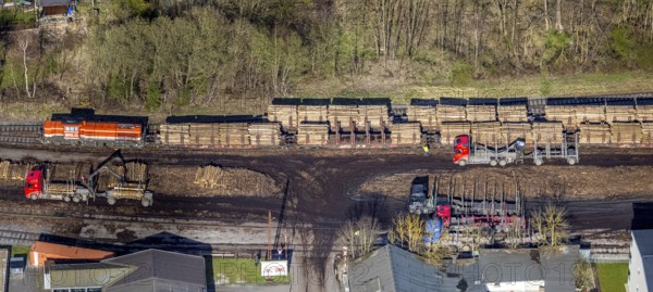 Aerial photo, timber transport and loading at Sundern station, Sundern, Sauerland, North