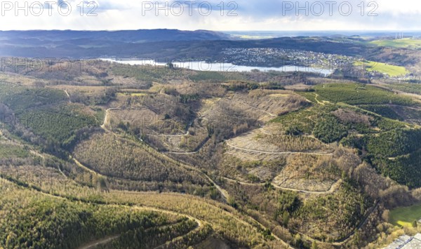 Aerial photo, forest damage in the forest area at Lake Sorpe, Höhenweg, Hachen, Sundern, Sauerland,
