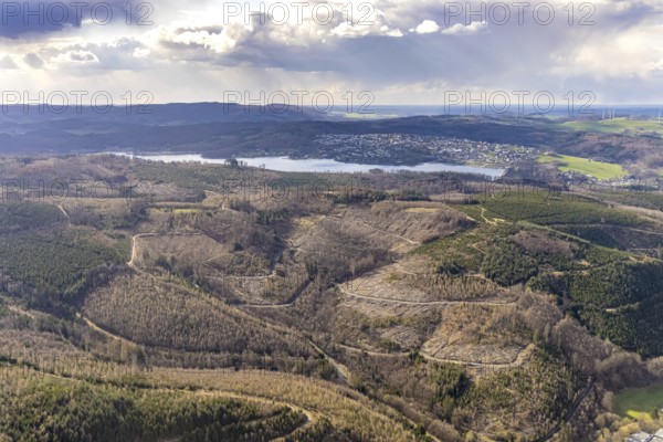 Aerial photo, forest damage in the forest area at Lake Sorpe, Höhenweg, Hachen, Sundern, Sauerland,