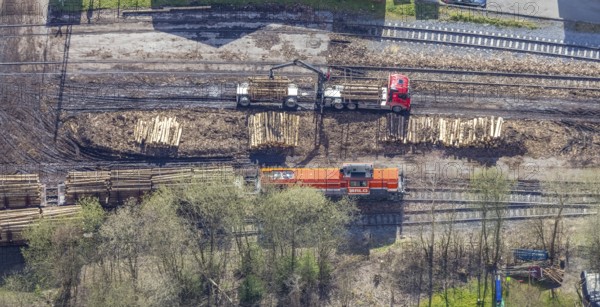 Aerial view, timber transport and loading at Sundern station, Sundern, Sauerland, North
