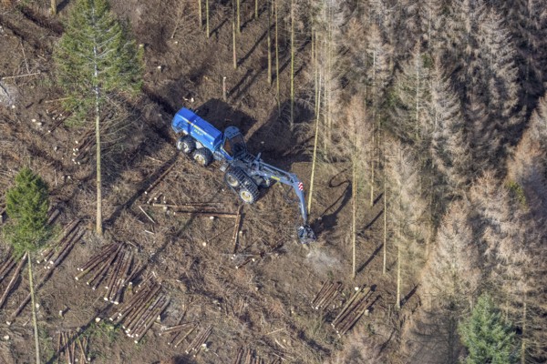 Aerial view, forest damage in forest area with harvester near Hellefeld, Westenfeld, Sundern,