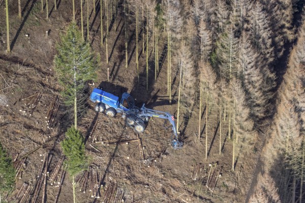 Aerial view, forest damage in forest area with harvester near Hellefeld, Westenfeld, Sundern,