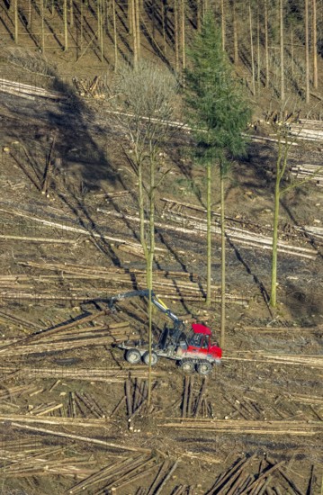 Aerial view, forest damage in forest area with harvester near Hellefeld, Westenfeld, Sundern,