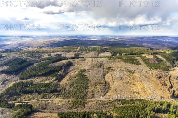 Aerial view, forest damage in the forest area near Hellefeld, Westenfeld, Sundern, Sauerland, North