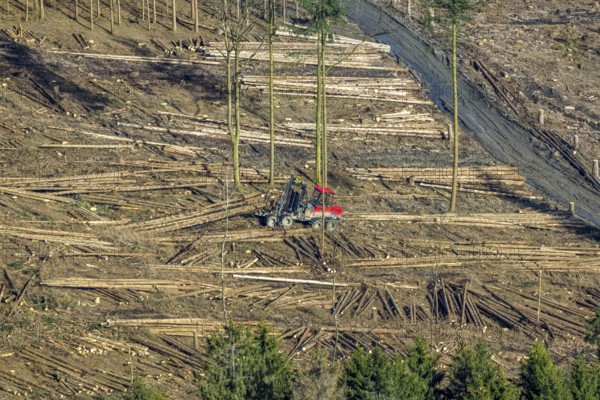 Aerial view, forest damage in forest area with harvester near Hellefeld, Westenfeld, Sundern,