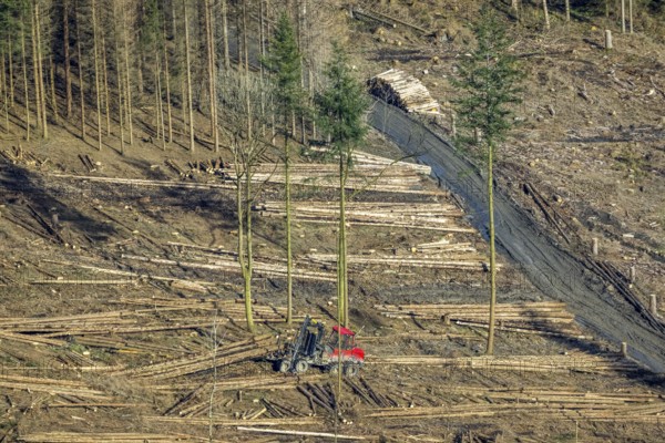 Aerial view, forest damage in forest area with harvester near Hellefeld, Westenfeld, Sundern,