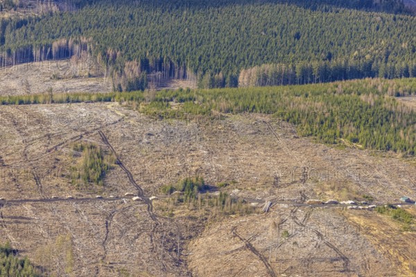 Aerial photo, forest damage in the forest area near Hellefeld, Westenfeld, Sundern, Sauerland,