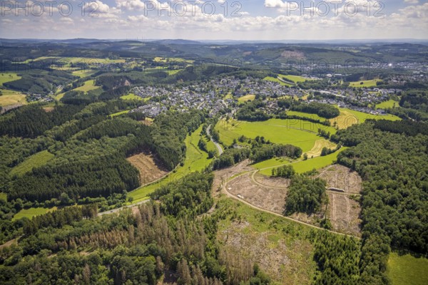 Aerial view, forest area with forest damage in Rhode, Olpe, Sauerland, North Rhine-Westphalia,