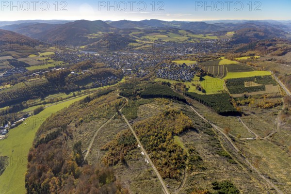 Aerial photograph, forest area with forest damage in the Bigge district of Olsberg, Sauerland,